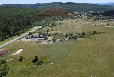 Teren de 5561 mp, în Paltin - 14