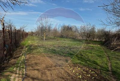Casa de vanzare cu livada si piscina - Giurgiu - 12