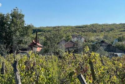 Casa batraneasca, locuibila, Podari, teren 1050 mp - 5