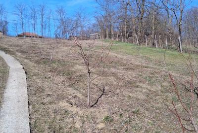 Spațiu comercial, în Muntenii de Jos - 4