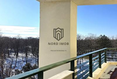 PENTHOUSE | VEDERE LIBERĂ PARC | 192 MP | 2 LOCURI PARCARE | BOXĂ | PET FRIENDLY - 20