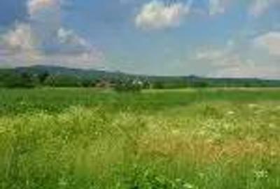 Teren de 3300 mp, în Urleta - 2