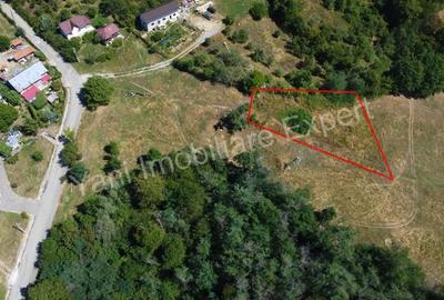 Teren de vanzare in Curtea de Arge?, str Groape. - 6