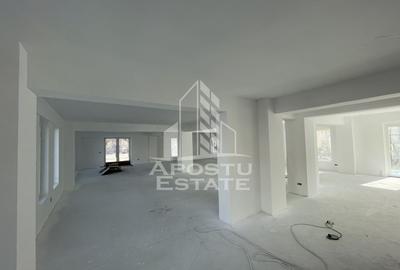 Spatiu comercial 238 mp, zona Lipovei , artera circulata - 4