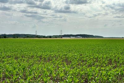 Teren Construcții intravilan de 15000 mp, în Dobroești - 6