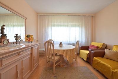 Apartament str Pridvorului  la parcul Lumea Copiilor, vedere integral la parc - 4