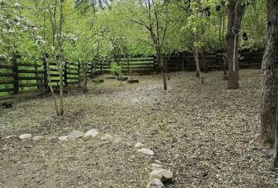 Casă cu Teren 500 Mp în Stâlpeni - 5