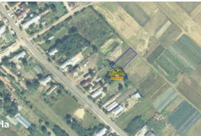 Teren de 613 mp, în Brânceni - 4