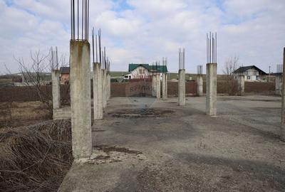 Teren Construcții intravilan de 6900 mp, în Șcheia - 17