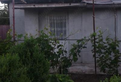 Casă în Ianca - 10