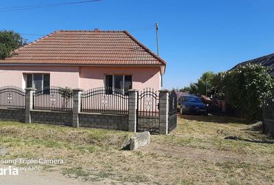 Casă cu 2 camere cu Teren 1000 Mp în Livada - 3