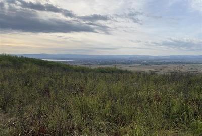 Teren extravilan de vanzare in Tileagd - 3166 mp cu panorama superba - 14