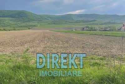 Teren de 7600 mp, în Șieu - 2