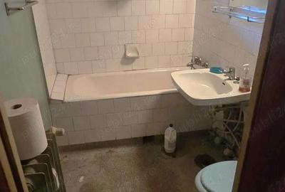 Baba Novac Campia Libertatii- vedere parc IOR - 3