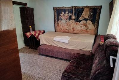 Exclusivitate! Casa batraneasca trei camere, acoperis nou, Valu lui Traian! - 3