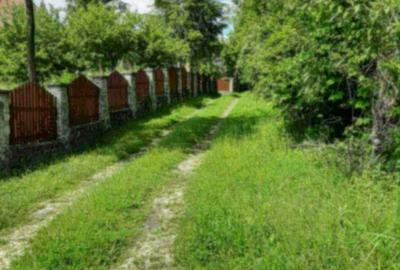 Spațiu comercial, în Bilcești - 3