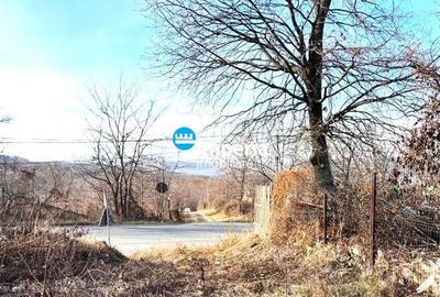 Teren 1500 mp, Bucium, la asfalt, PUZ, loturi - 5