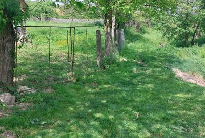 Casă cu 3 camere în Nadăș - 2