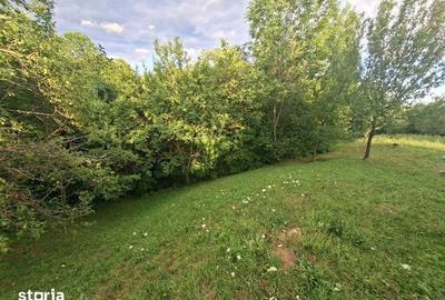 Teren de 5524 mp, în Poiana - 3