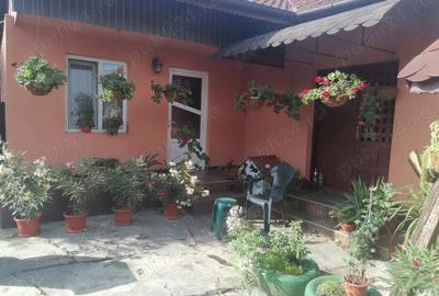 Proprietar, vand casa in com Dragutesti, sat Carbesti, Gorj. - 4