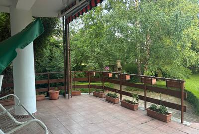 Vanzare vila/casa de vacanta - 5