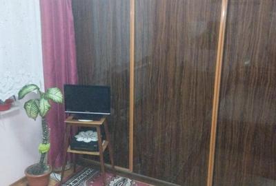 Apartament cu 2 camere semidecomandat în Prundu - 8