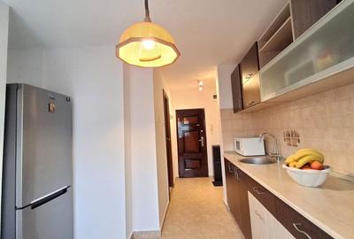 Garsonieră decomandată, mobilată în Doamna Ghica - 10