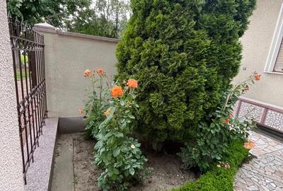 Casa solida, spa?ioasa ?i versatila in zona centrala, Sannicolau Mare - 8