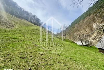 Teren de 12167 mp, în Câineni - 12