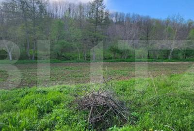 Teren de 6659 mp, în Nisipoasa - 11