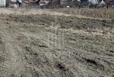 Teren de 435 mp, în Gușterița - 1