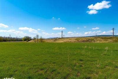 Spațiu comercial, în Pătrăuți - 6