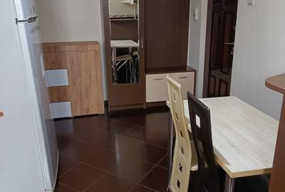 Apartament cu 2 camere în Paltiniș - 20