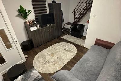 Casă cu 2 camere în Smeura - 3