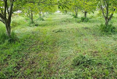 Spațiu comercial, în Mărtinești - 3