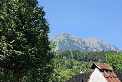 Vila cu vedere la Muntii Bucegi - 560 mpc si 963 mp teren - Zamora - 6