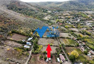 Teren intravilan NICULITEL, zona deosebita, 3044MP - 1