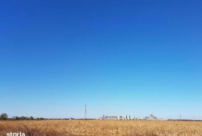 Teren de 26800 mp, în Lehliu - 6