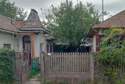 Vand casa la tara, complet utilata, doua locuinte in curte - 3