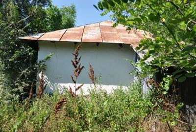 Casă cu 1 camere cu Teren 2832 Mp în Ciulnița - 1