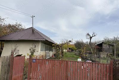 Vand casa locuibila 3 camere sat Vitanesti jud. Teleorman - 4