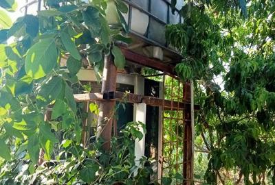 Casa la ?ara ?i teren generos Casa la ?ara ?i teren generos - 2