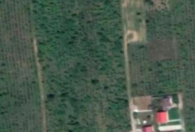 Teren de 5000 mp, în Urleta