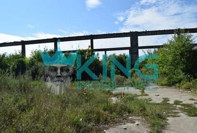 Teren intravilan | Fosta fabrica de placaje | Deta Timis - 2