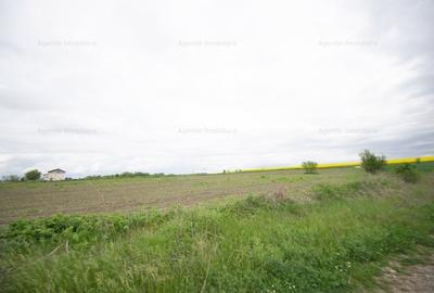 Terenul ideal 1058 mp - Lac Darvari / Fundulea - 2