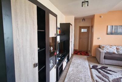 Apartament cu 2 camere semidecomandat în Dumbrăvița - 1