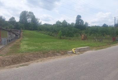 Spațiu comercial, în Curtea de Argeș - 6