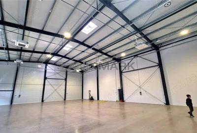 Hala noua de inchiriat , zona Lugojului - Aeroport Tmisoara - 5