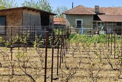 Casă cu Teren 1542 Mp în Mitreni