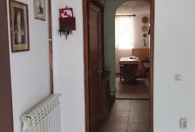 Casă cu 5 camere cu Teren 4200 Mp în Băile Herculane - 7